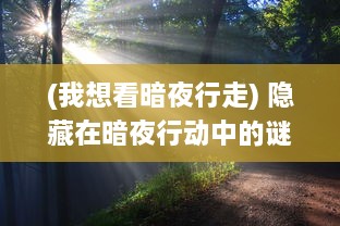 (我想看暗夜行走) 隐藏在暗夜行动中的谜团：光线消隐后的秘密任务与险恶挑战